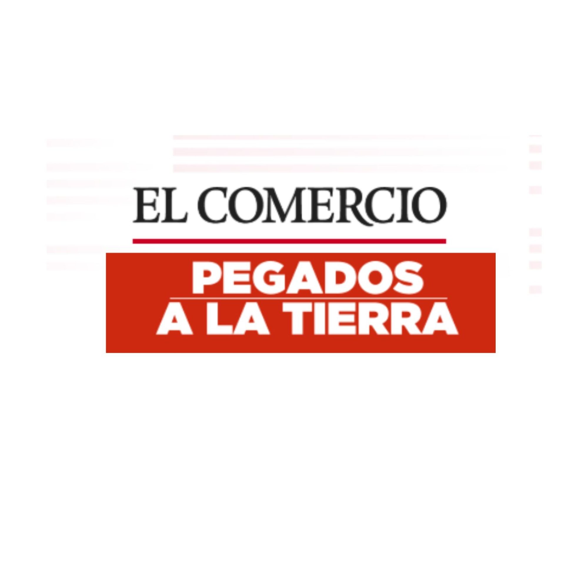 el comercio